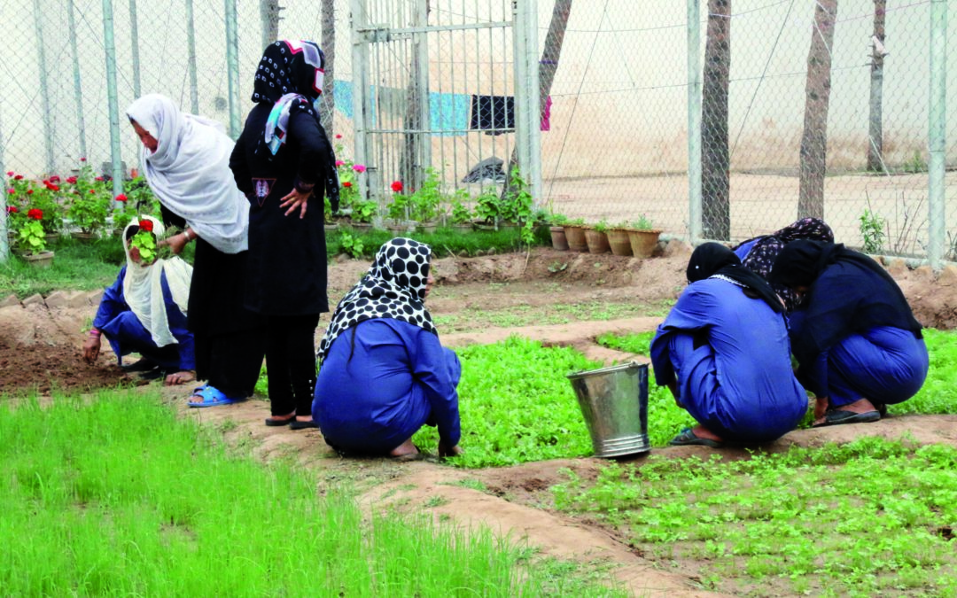 Sechs Frauen mit hocken bzw. stehen in einem selbstangelegten Garten.