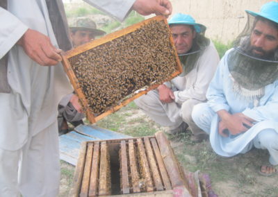 Ein verdeckter Mann hält eine Bienenwaabe. Dahinter knieen einige Männer, sie tragen einen Schutznetz vor dem Gesicht.