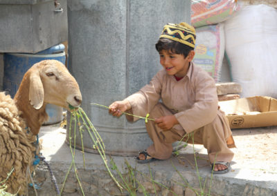 Ein Junge in Sandalen, hellen Leinen und einer orientalisch anmutenden Kopfbedeckung hält einem Schaf einen Pflanzenhalm hin.